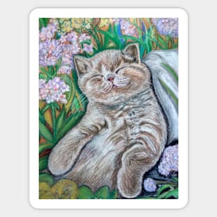 A Midsummer Day's Dream (Kitten) Sticker